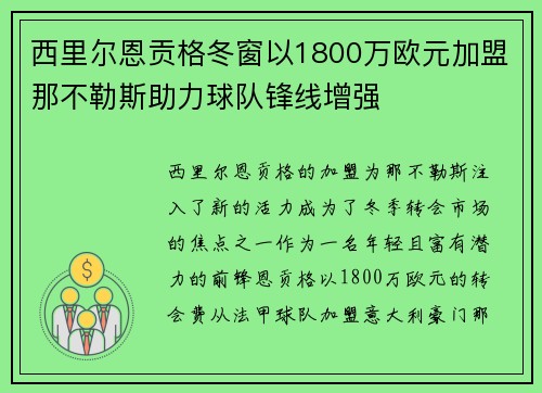 西里尔恩贡格冬窗以1800万欧元加盟那不勒斯助力球队锋线增强